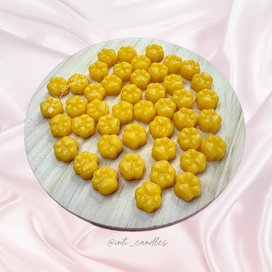 Fresh Oranges Paw Prints
